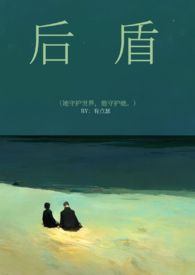 后盾热水炉